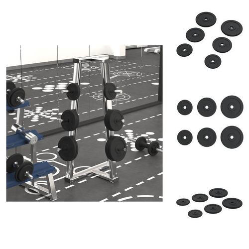 vidaXL Hantelscheiben 6 Stk. 30 kg Gusseisen - Hanteln & Gewichte