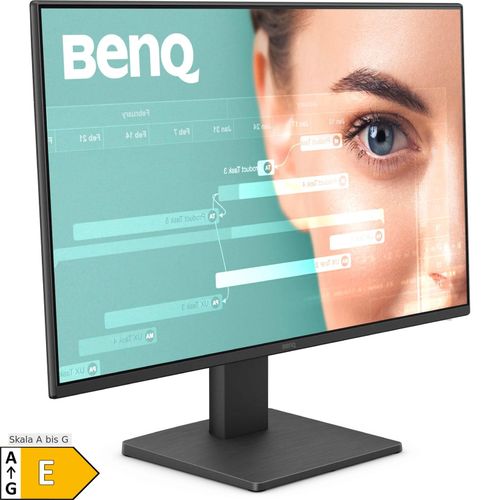BenQ LED-Monitor GW2491