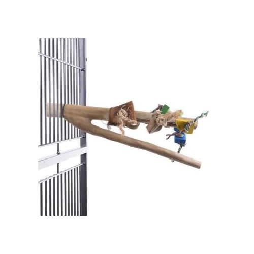 Java Sitzstange Java mit Spielzeug