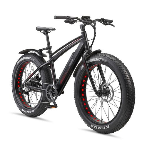 26 Zoll MTB Fatbike E-Bike Aufsteiger FM350