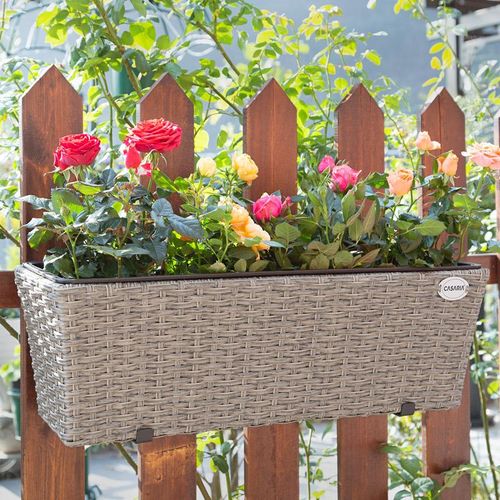 Blumenkasten Balkonkasten Polyrattan 60x20x19cm 2er Set creme