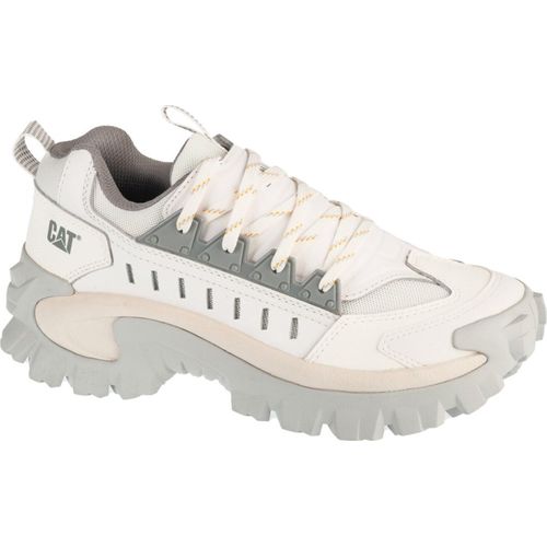 Schuhe Caterpillar Intruder Met P726243
