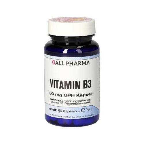 VITAMIN B3 100 mg GPH Kapseln 60 St