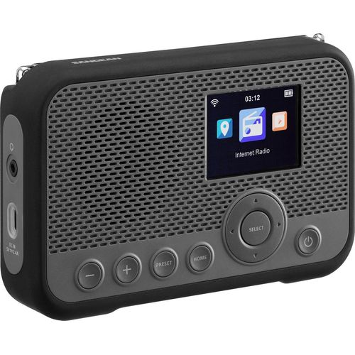 WFR-39 tragbares Internetradio grau/schwarz