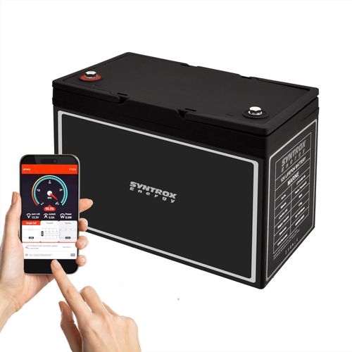 12V LiFePO4 Akku BMS + Bluetooth / Professionell Professionell 12V 80Ah mit Bluetooth