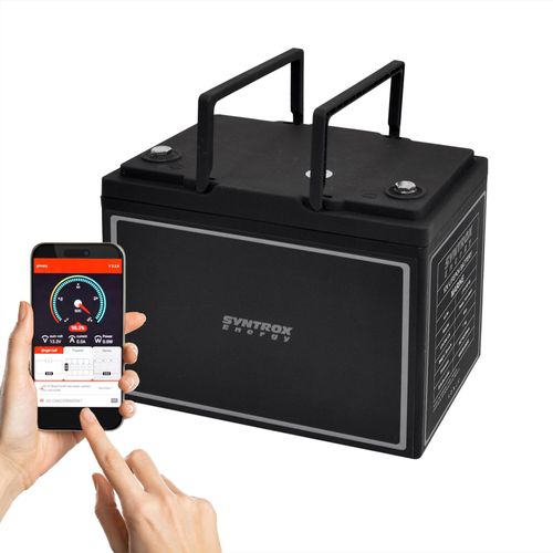 12V LiFePO4 Akku BMS + Bluetooth / Professionell Professionell 12V 60Ah mit Bluetooth