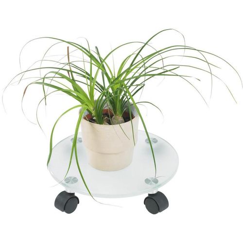 Boxxx Pflanzenroller , Glas , 30x7.5x30 cm , Dekoration, Blumen & Zubehör, Übertöpfe
