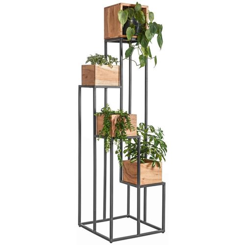 Landscape Blumenständer , Schwarz, Akazie , Holz, Metall , Akazie , massiv , 42.5x150x42.5 cm , Wohnzimmer, Wohnzimmertische, Blumenständer