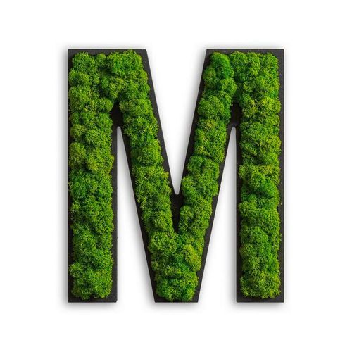 Xxxl Moosbild Stylegreen , Grün , Naturmaterialien , Kork , Pflanzen , 25x21x4 cm , einfache und schnelle Anbringung, pflegefrei – nicht gießen oder