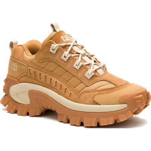 Schuhe Caterpillar Intruder P726246