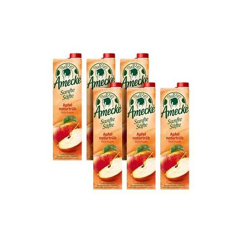 Amecke Sanfte Säfte Apfel naturtrüb Direktsaft 6x 1,0 l