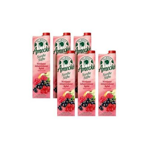 Amecke Sanfte Säfte Himbeere Johannisbeere Apfel Fruchtsaftkonzentrat 6x 1,0 l