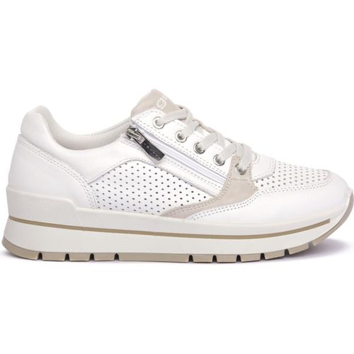 Schuhe IGI&CO 7660700