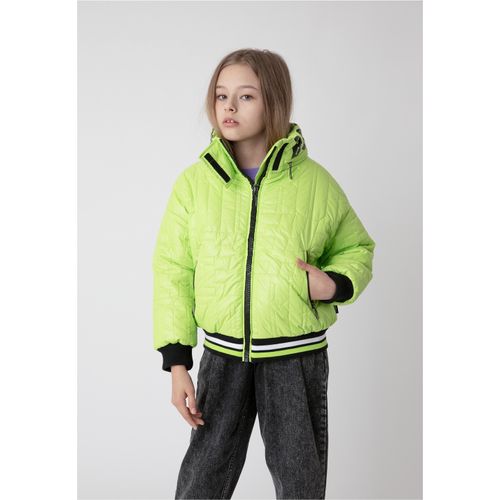 Outdoorjacke GULLIVER, Mädchen, Gr. 152, grün (grün, schwarz), 100% Polyester, kariert, mehrfarbig, casual, kurz, ohne Ausschnitt, Langarm, Jacken, mit Stehkragen und Kapuze