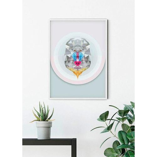 Komar Bild »Baboon«, Tiere, (1 St.), Wandbild zur Dekoration - ohne Rahmen