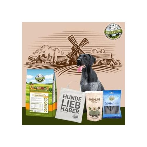 Bellfor Deutsch Drahthaar Futter Set