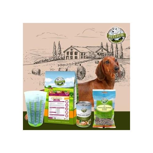 Bellfor Dackel Futter Set