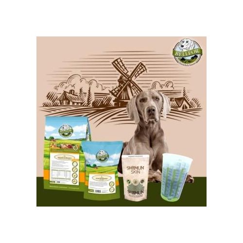 Bellfor Weimaraner Futter Set
