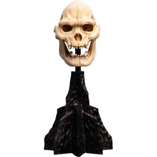 Weta Workshop Lord Of The Rings Mini Skull Of Lurtz 14 Cm Figur One Size