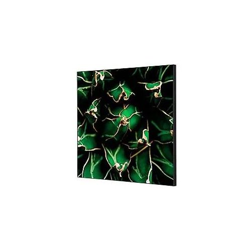 SHOWDOWN Textile Wanddekoration Kaktus Mehrfarbig Aluminium