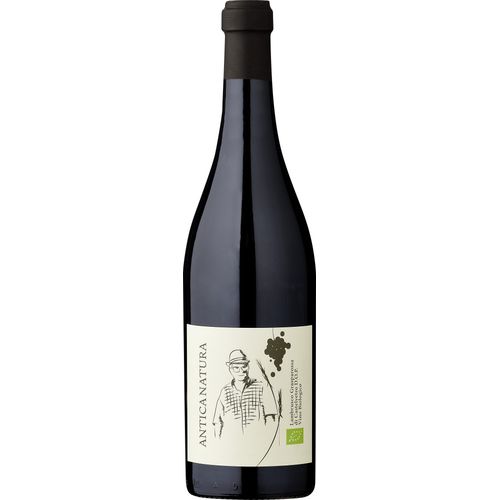 Zanasi Antica Natura Lambrusco – Bio