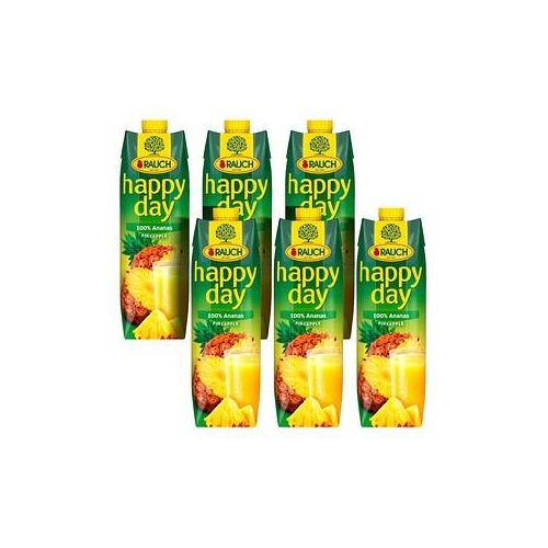 happy day Fruchtsaftkonzentrat Ananas 6x1,0 l