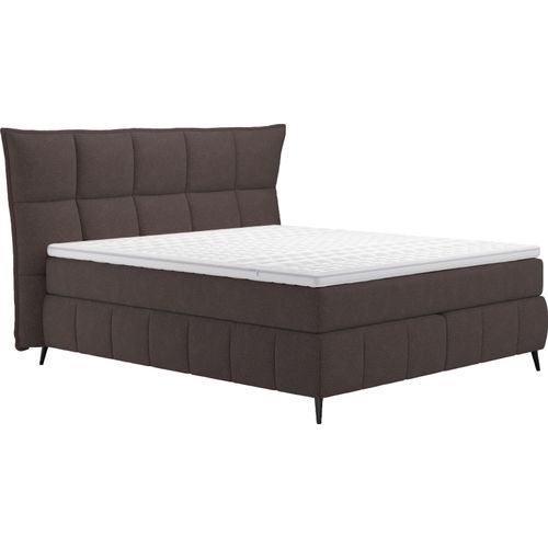 Boxspringbett COTTA 
