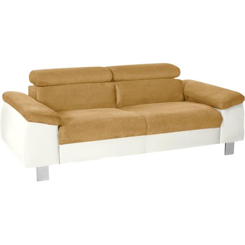 3-Sitzer COTTA 