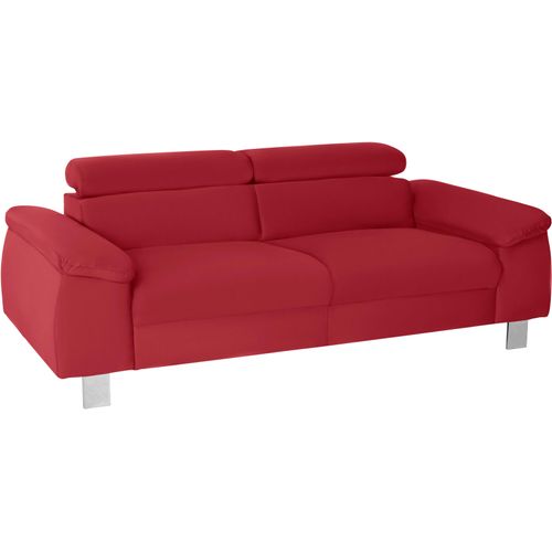 3-Sitzer COTTA 