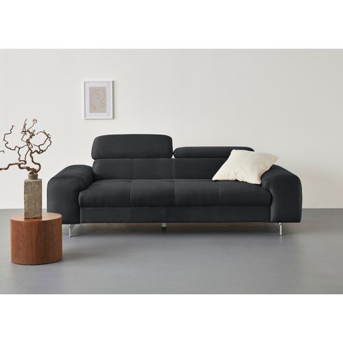 3-Sitzer COTTA 