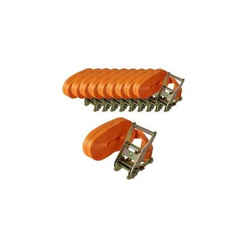 10x Profi Ratschen Spanngurt Spanngurte Zurrgurt 1-tlg 6m 2t 2to 2000kg TÜV/G...