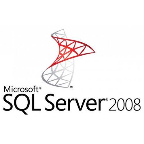 Microsoft SQL Server 2008 Standard User CAL