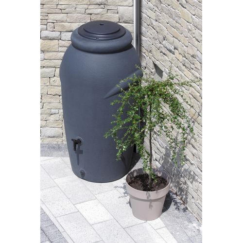 Regentonne PROSPERPLAST 