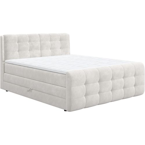 Boxspringbett COTTA 