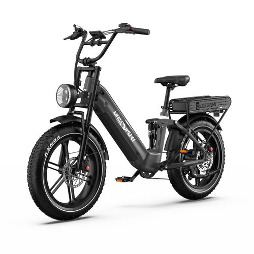 Elektrofahrrad, 250W E-Bike mit 2*18Ah herausnehmbarem Doppelakku, geländegängiges 20