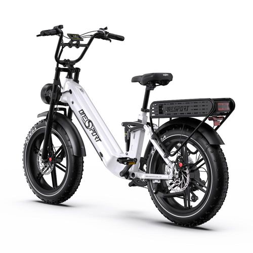Elektrofahrrad, 250W E-Bike mit 2*18Ah herausnehmbarem Doppelakku Bis 190Km , geländegängiges 20