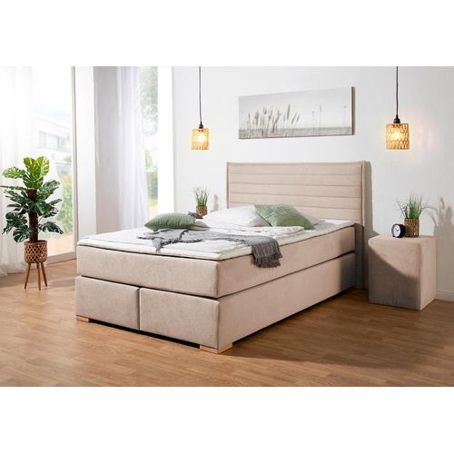 Boxspringbett HOME AFFAIRE 