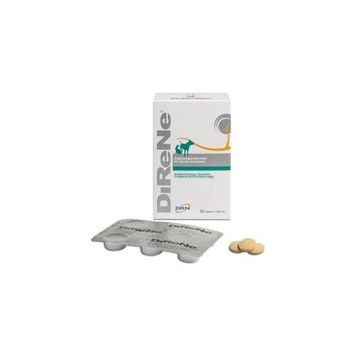 Livisto DiReNe Tabletten 32 Stück