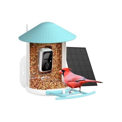 BIRDFY Futtersation AI im Abonnement + Solarpanel