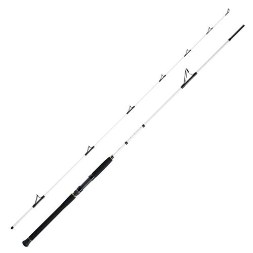 WFT Coastal Jigger Salzmeister 2,75m 40-160g Meeresrute 2-Teilig
