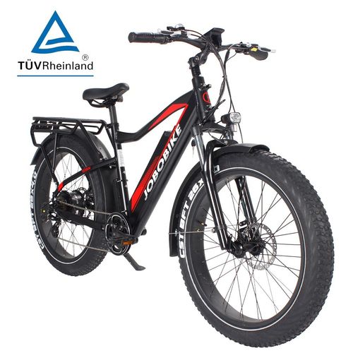 E-Bike Robin 26 Zoll Fat-Reifen Elektrofahrrad 7 Gang Shimano Acera Kettenschaltung 250W Heckmotor