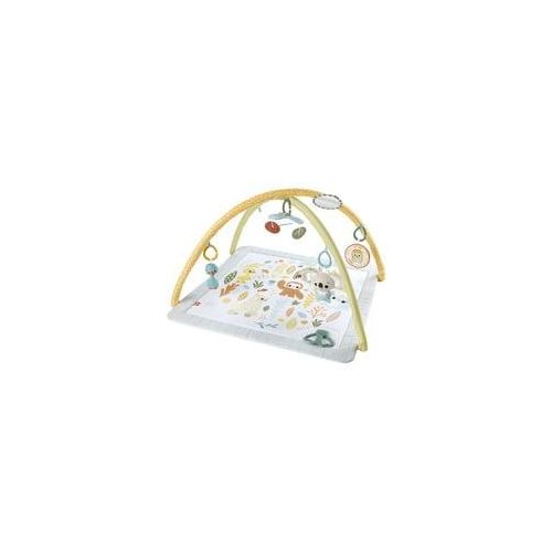 Fisher-Price Simply Senses Sensorische Erlebnisdecke, Spielbogen/Decke
