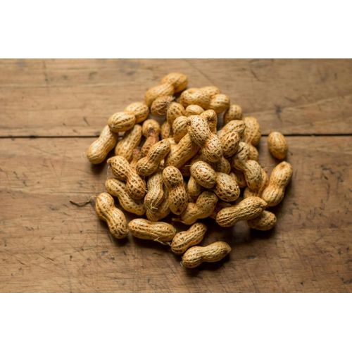 10 kg Futterbauer Erdnusskerne !! IN DER SCHALE !! Vogelfutter
