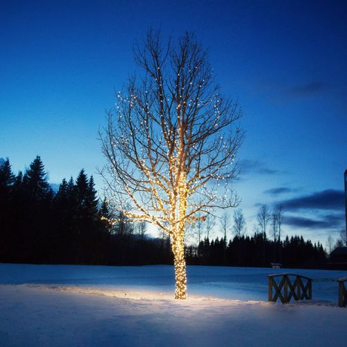 Lichterkette Chrissline Extra 50 LEDs 2.850K