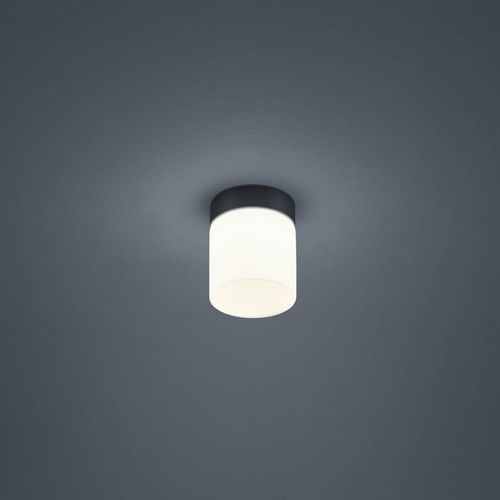 Helestra Keto LED-Deckenleuchte, Zylinder, schwarz