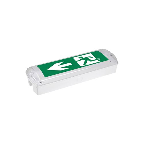 LED-Fluchtwegleuchte Hamm, Ein- Aufbau, IP65 6500K