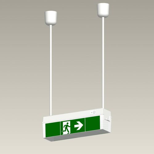 Pendelset für Notleuchte C-LUX Standard, 50 cm