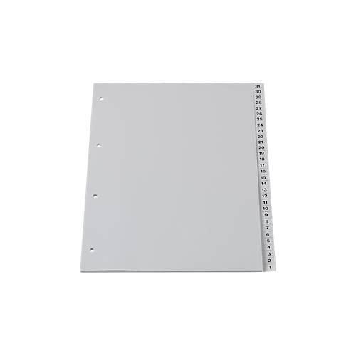 Schäfer Shop Select Rücklaufendes PP-Register, Zahlen 31-1