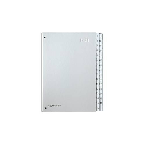 PAGNA Pultordner Silver, für DIN A4, 1 - 31, 32 Fächer, silber metallic