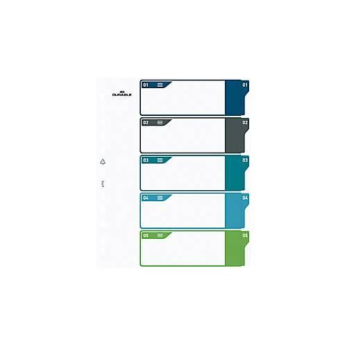 Register Durable, 5-teilig, DIN A4+, Indexblatt, EDV-beschriftbares Register, mit farbigen Taben